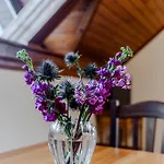 Apartament Mija *