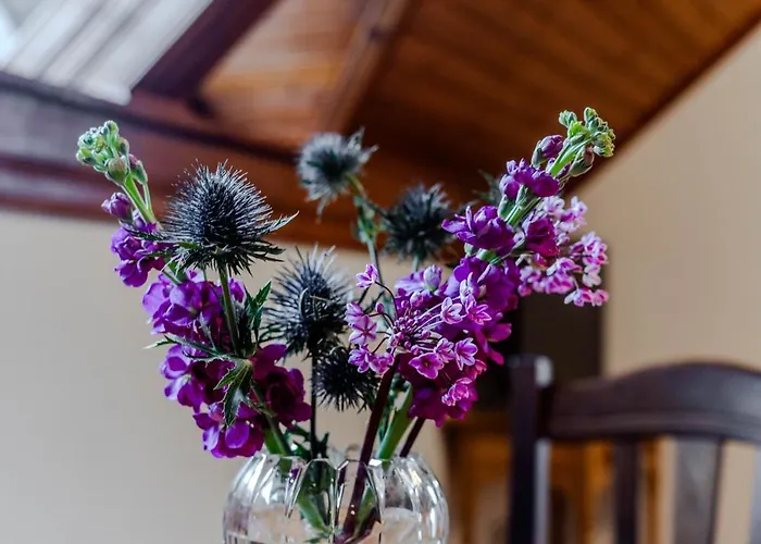 Διαμέρισμα Mija *